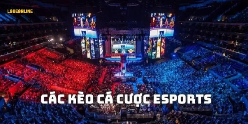 chien-thuat-chon-keo-esports-hom-nay-hieu-qua Chiến thuật chọn kèo esports hôm nay hiệu quả